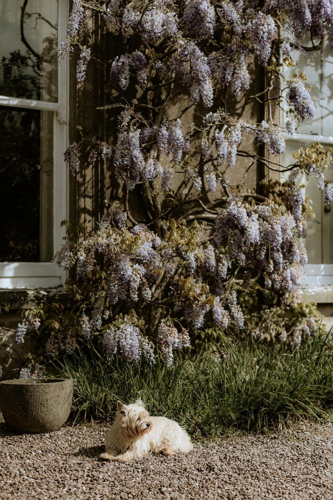 Ballyvolane House 페르모이 외부 사진